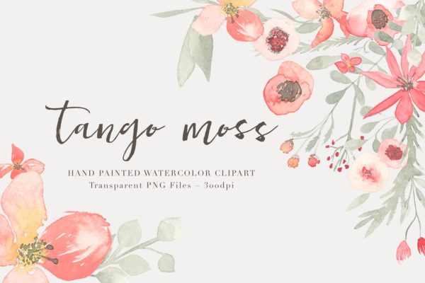 21款独特手绘花卉和树叶图形 Watercolor Floral Clipart – Tango