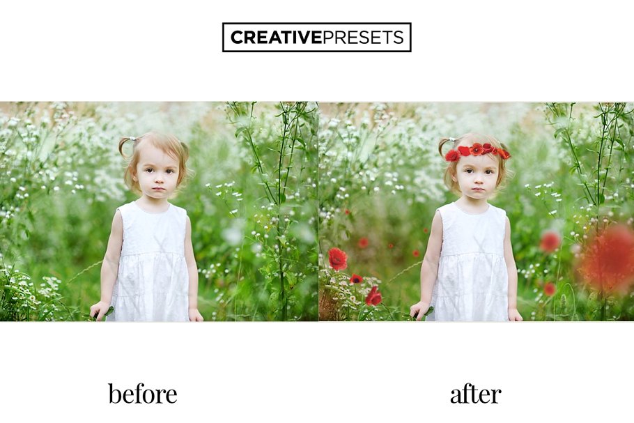 浪漫野生罂粟叶照片处理叠层 Wild Poppies Photo Overlays插图(4)