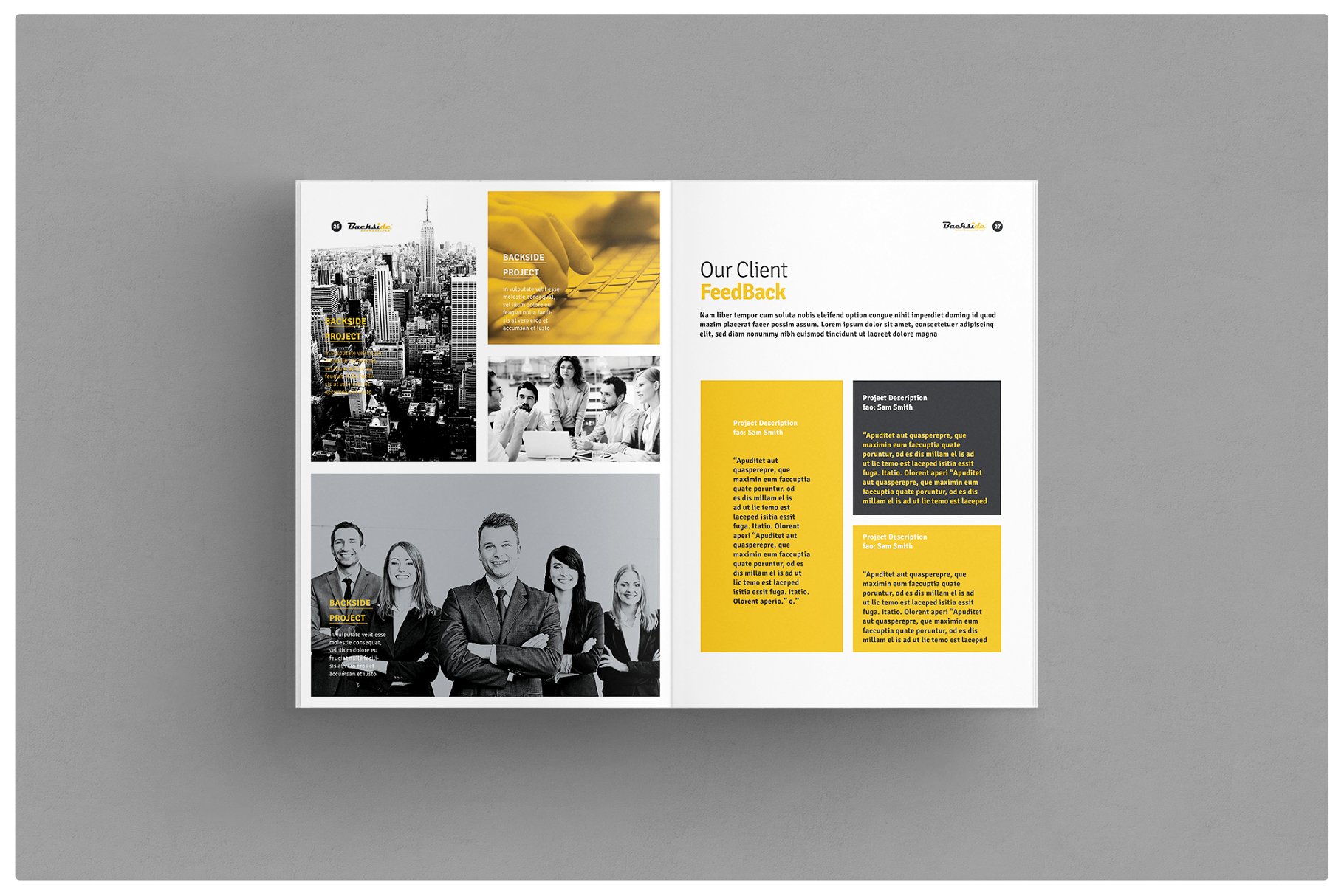 项目招标企业宣传画册模板 Proposal插图(8)