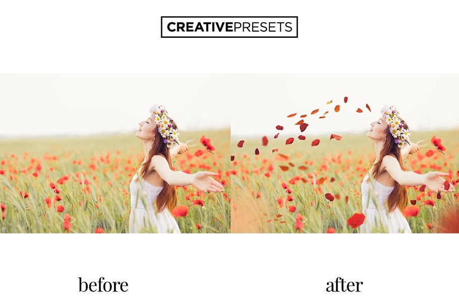 浪漫野生罂粟叶照片处理叠层 Wild Poppies Photo Overlays插图(7)