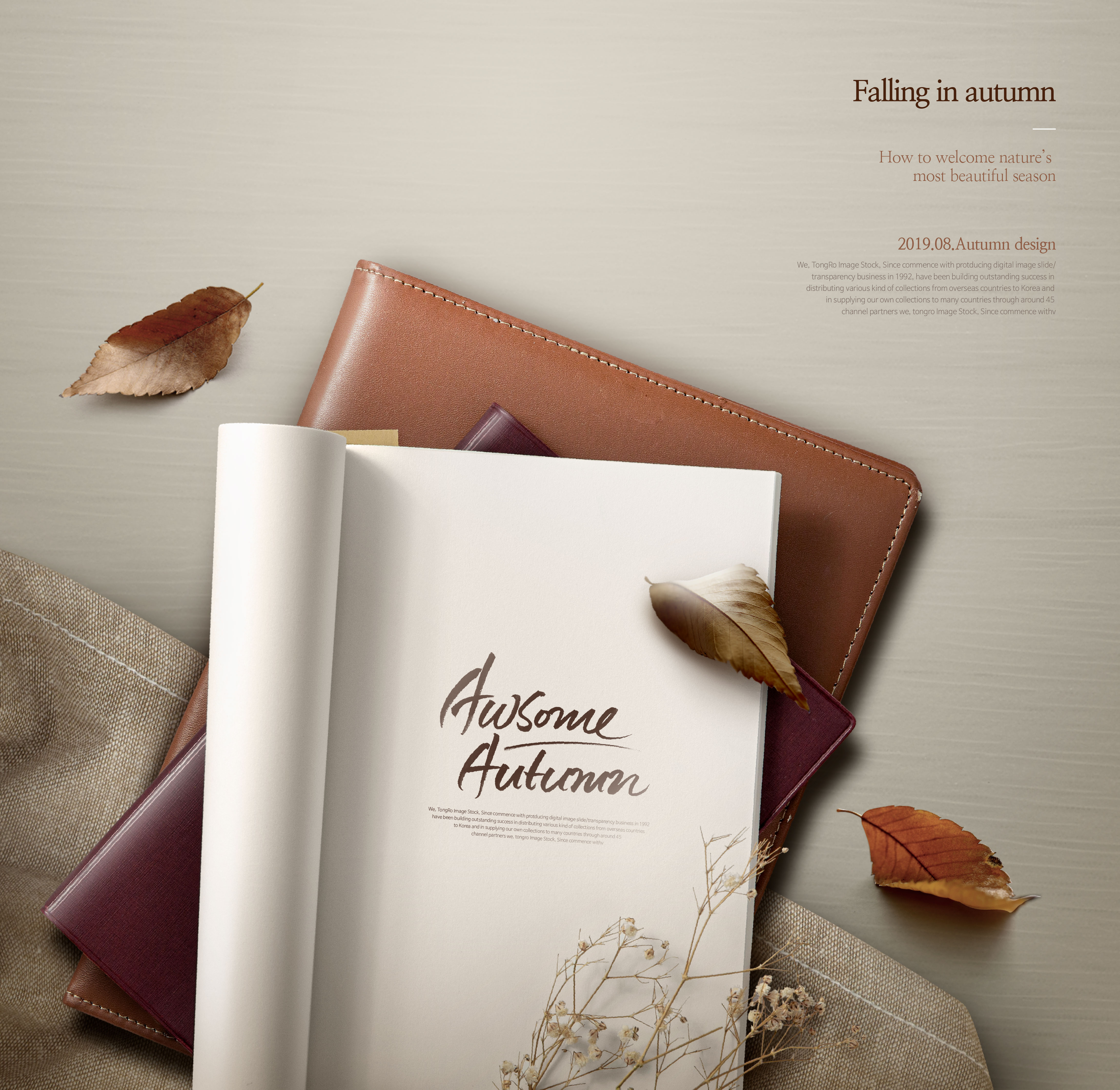 唯美秋天季节主题海报图片psd素材插图(5)