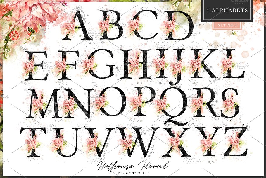 数码绘制温室花卉设计素材包(独立花卉元素&花式字母数字) Hothouse Floral Design ToolKit插图(9)