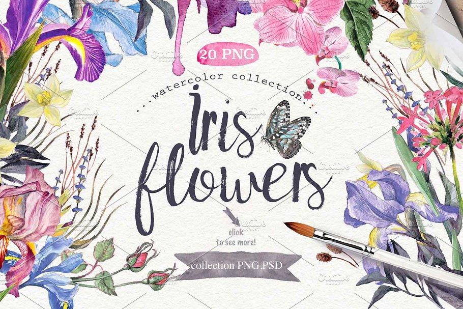 极力推荐：超级水彩元素设计素材包[2.5GB] Wildflowers pack 75 PNG插图(3)