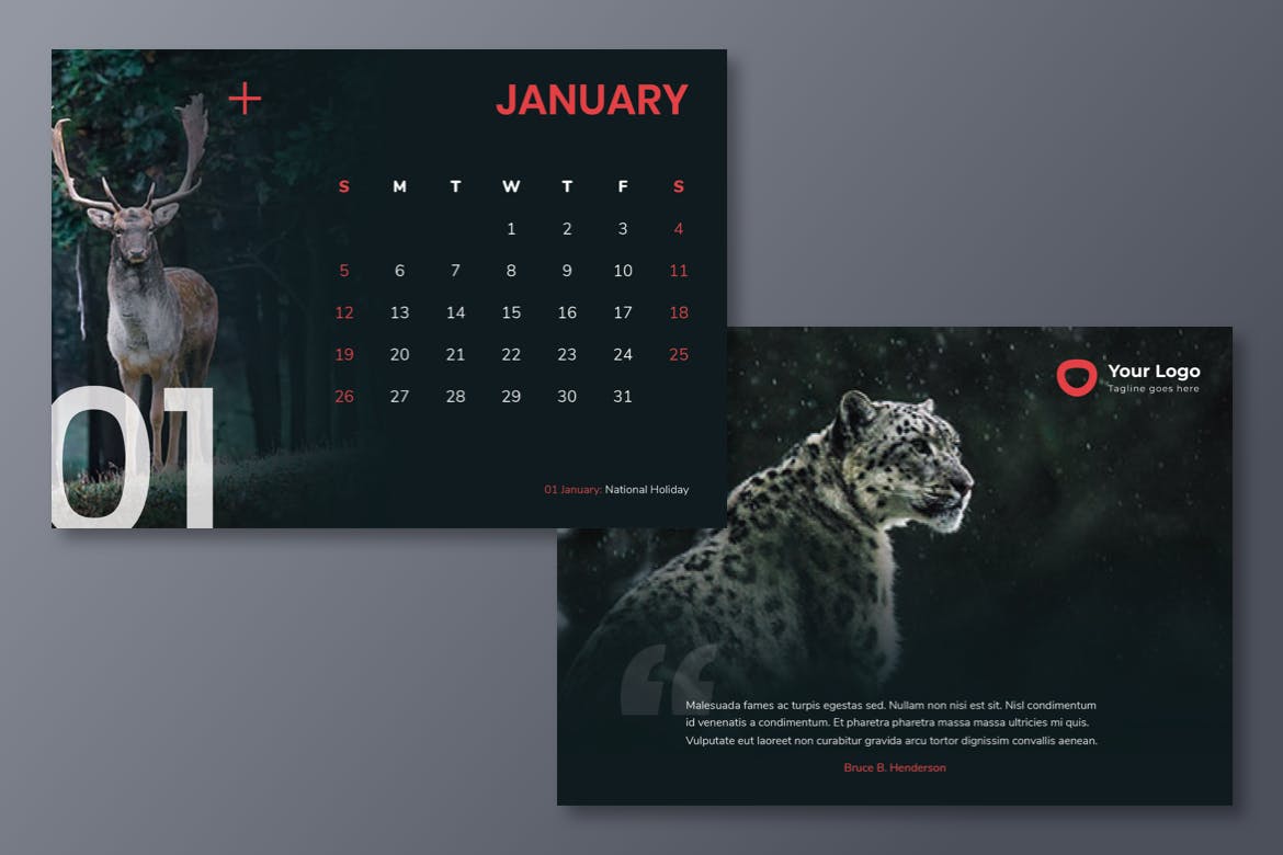 动物摄影主题2020款活页日历设计模板 Calendar 2020插图(3)