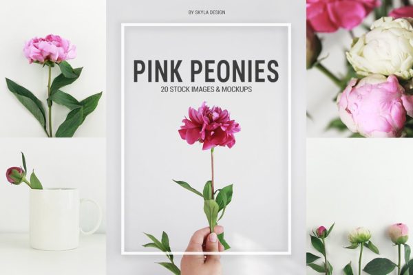 粉红牡丹场景装饰样机模板 Pink peonies stock &amp; mockups