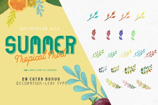 夏日热带水果水彩插画 Watercolor with summer – Tropical Fruit插图(11)