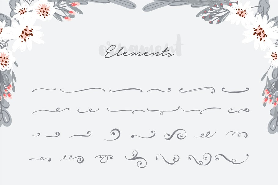 手绘花卉插画元素合集 Hand Drawn Floral Kit插图(5)