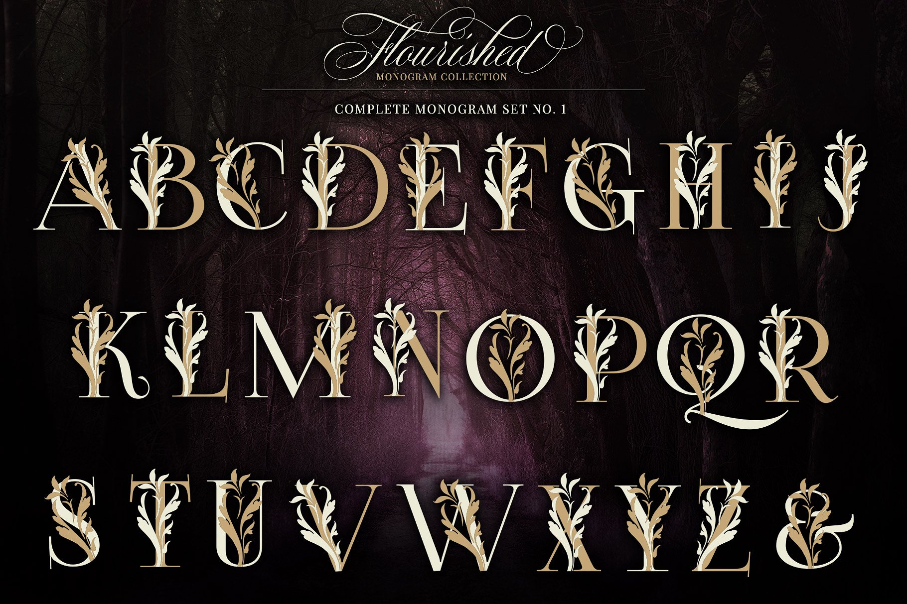 优雅手绘花卉装饰字母矢量素材 Flourished Monogram Collection插图(1)