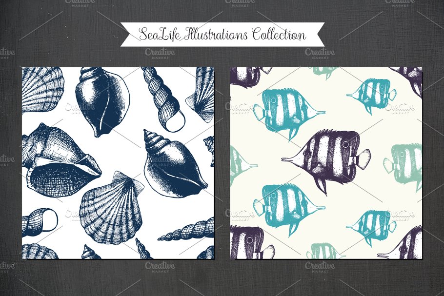 复古墨水手绘海洋生物插图 Vintage Sea Designs & Patterns插图(3)