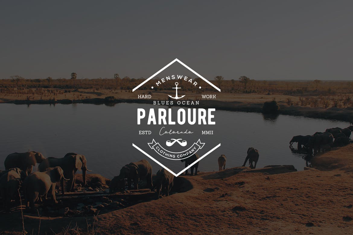 欧美复古设计风格品牌素材库精选LOGO商标模板v38 Vintage Logo & Badge Vol. 38插图(2)