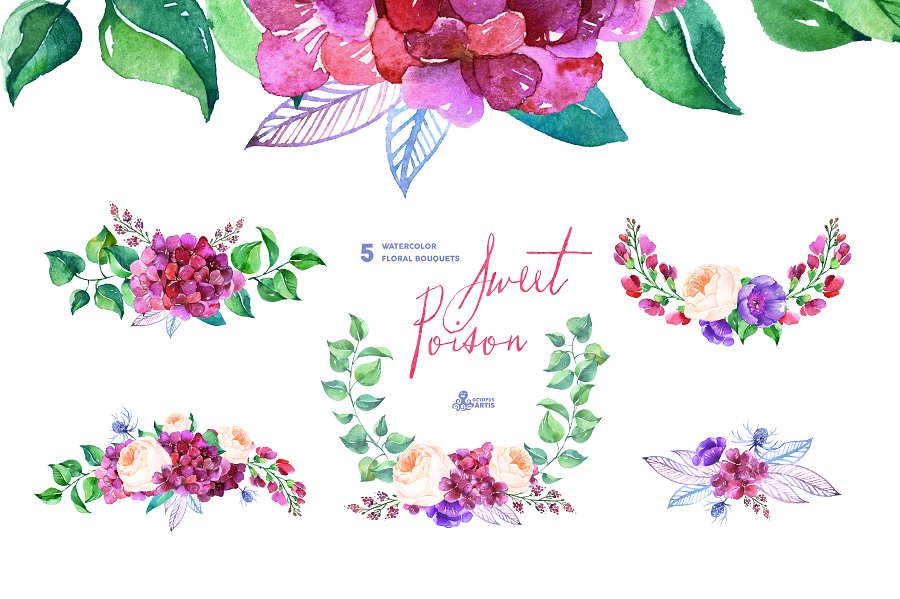 甜蜜的毒药-水彩花卉素材集 Sweet Poison. Floral collection插图(1)