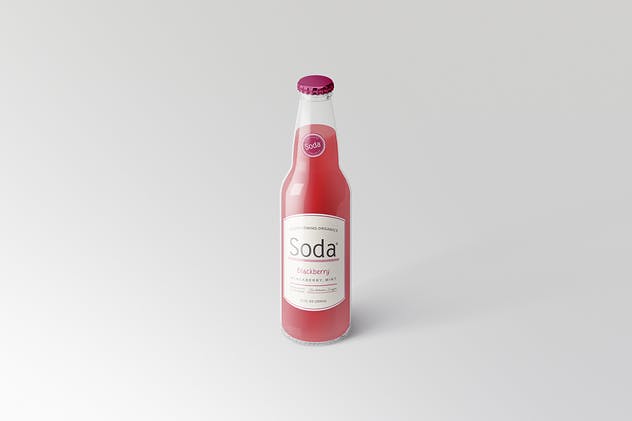 苏打饮料瓶包装样机v1 Soda Drink Bottle Packaging Mock-Ups Vol.1插图(11)