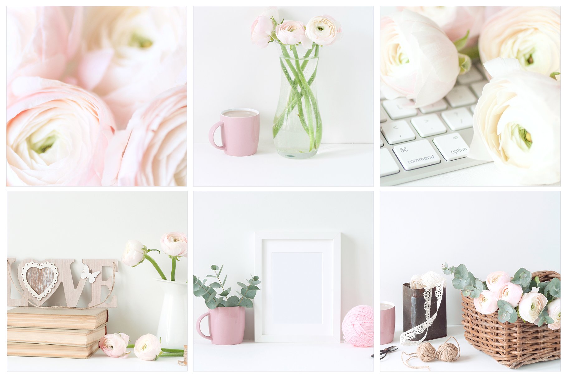 粉红毛茛花卉装饰场景样机 Pink Ranunculus Bundle插图(2)