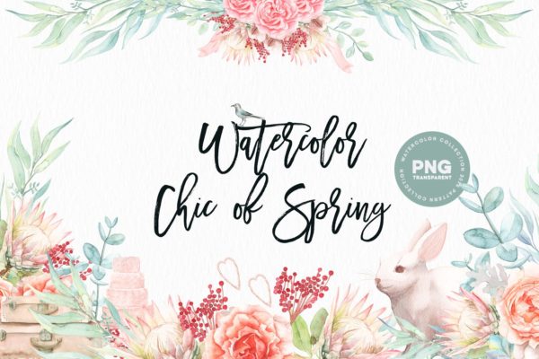 春天别致水彩插画素材 Watercolor Chic of Spring