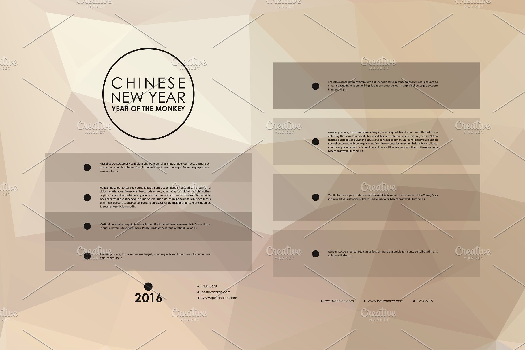 中国新年主题配色画册模板 Chinese New Year Brochures插图(3)