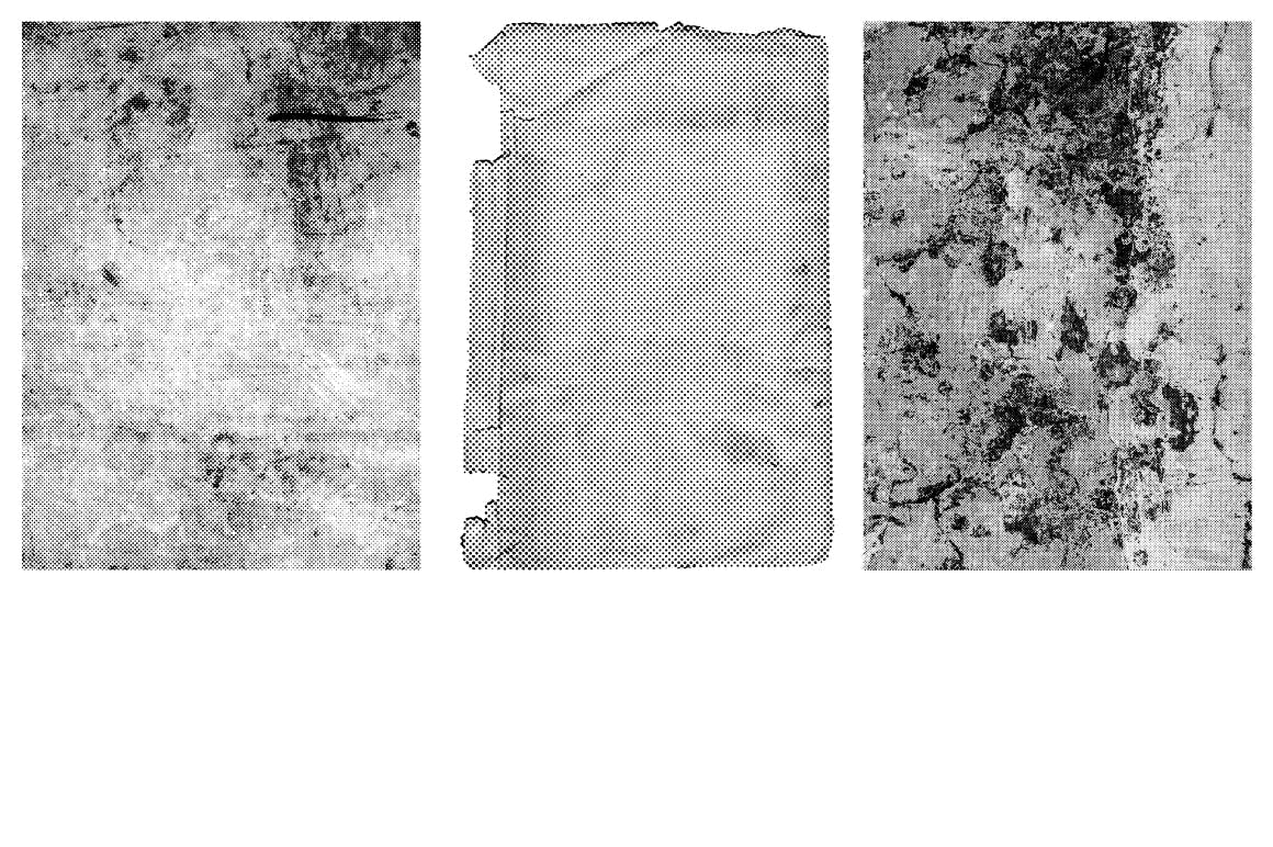 40款复古做旧风格矢量肌理纹理背景设计素材02 40 Vector Background Textures 02插图(7)