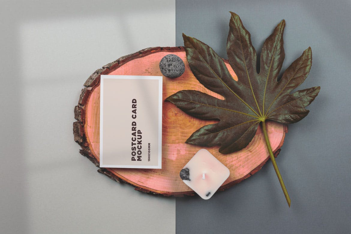 鲜花背景名片和明信片设计效果样机模板 Natural Scene – Business cards & postcard mockup插图(5)