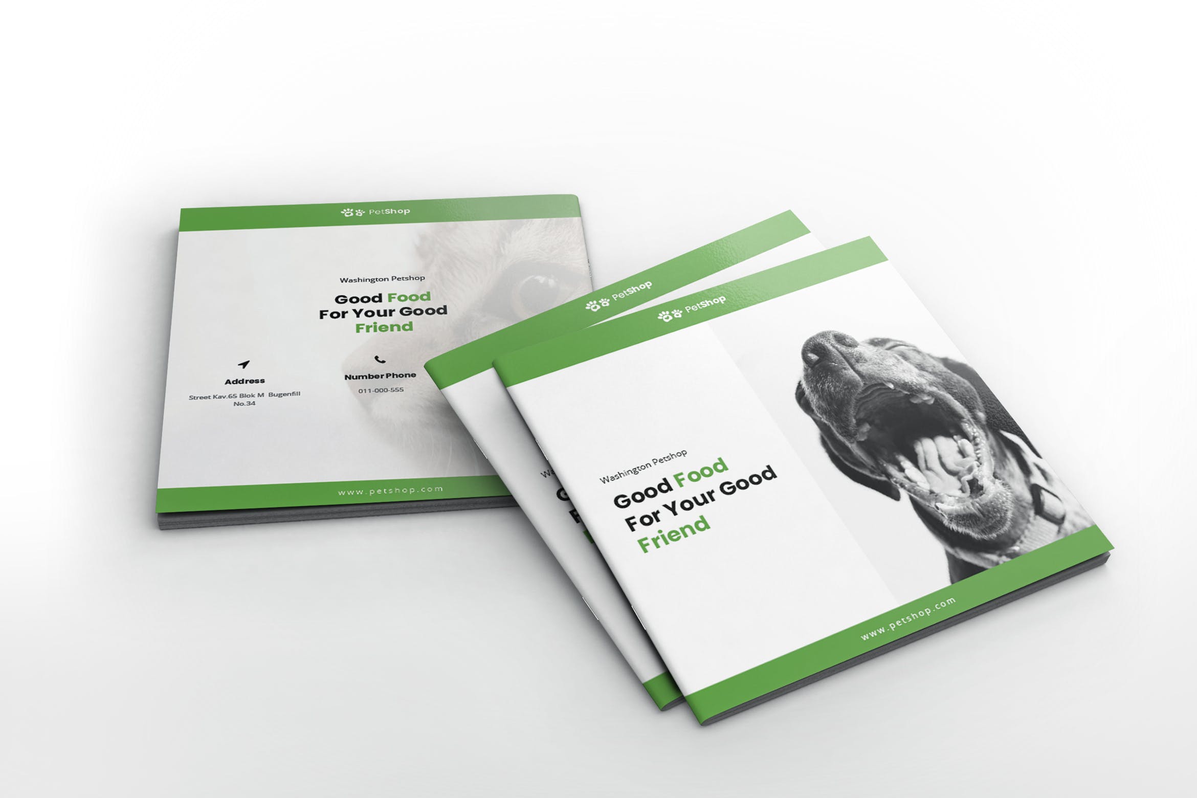 宠物店/宠物医院方形宣传册设计模板 Pet Shop Square Brochure Template插图