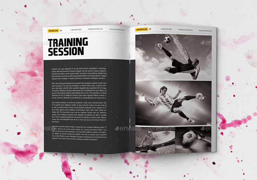 多用途足球俱乐部特色小册子插图(13)