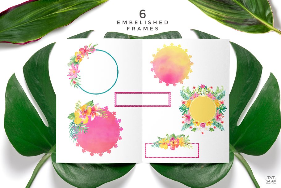 火烈鸟/热带植物水彩素材 Watercolour Clipart Set – Tropics插图(1)