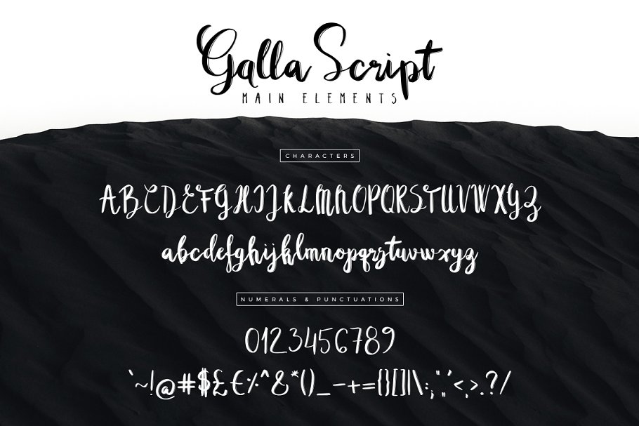 13款手写英文字体合集&Logo模板、矢量插画 Wonderland Fonts Pack & Branding Kit插图(91)