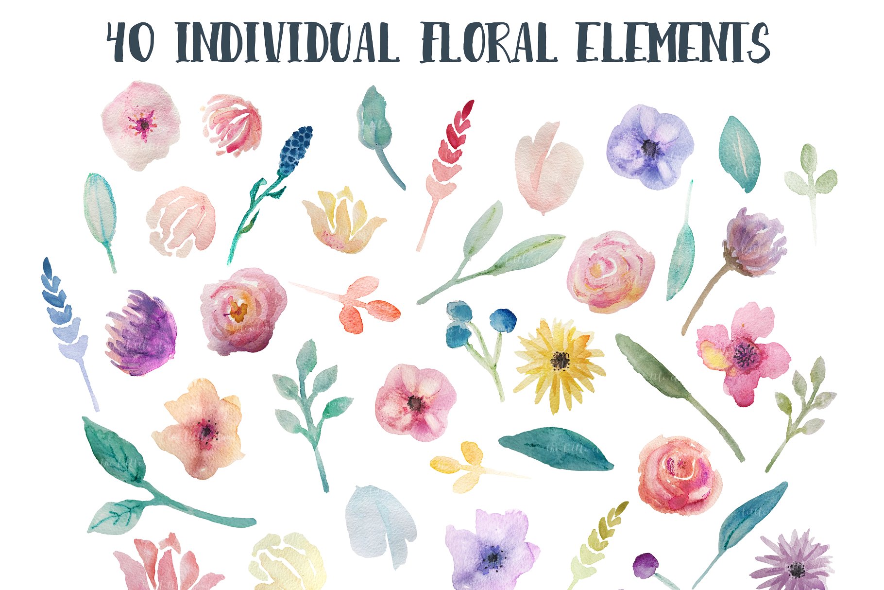 水彩花卉素材集（元素、花环&花框） Go Floral! watercolor clip art set插图(1)