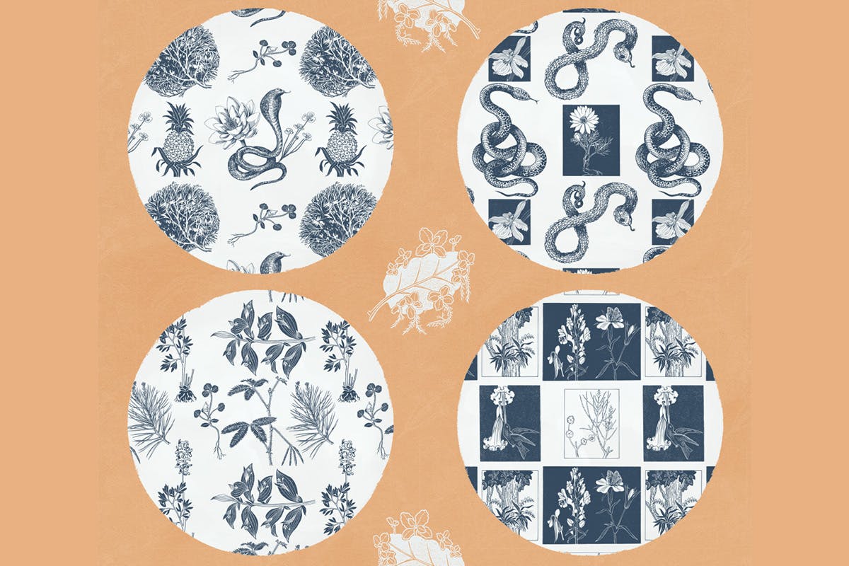 植物学与蛇自然主题无缝图案背景素材 Botany And Snakes Natural Patterns插图(3)