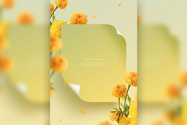 万寿菊-春天花卉主题海报/贺卡/信纸设计psd素材