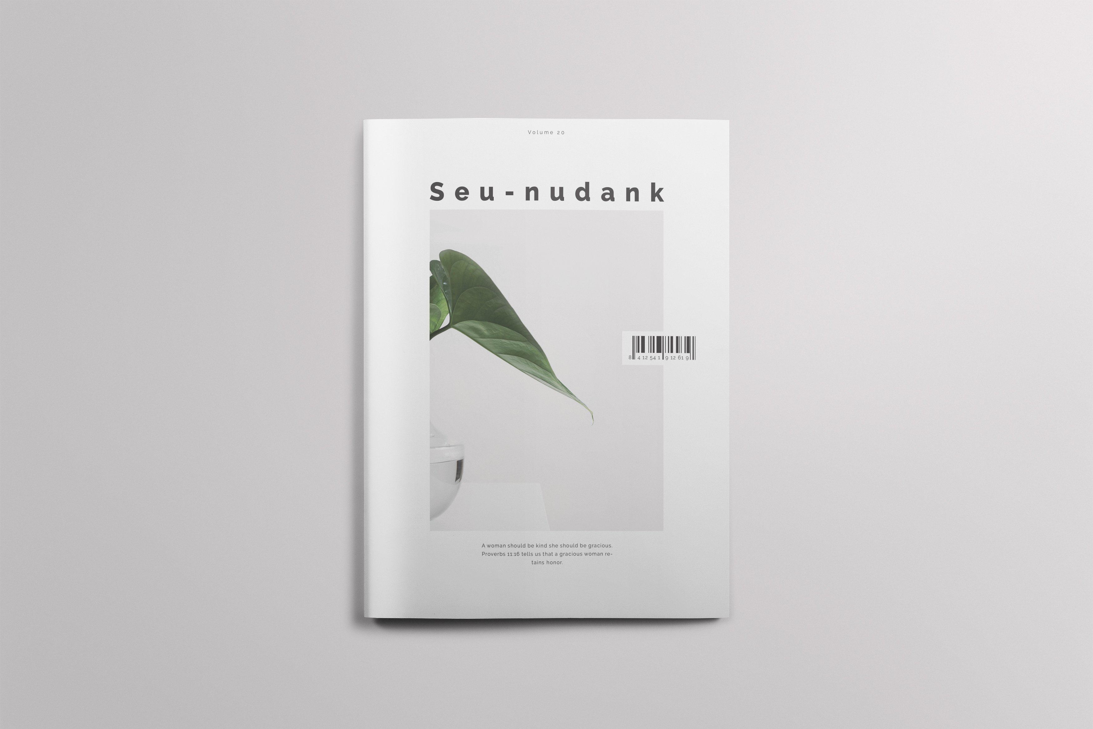 简约、时尚风格的杂志模板插图