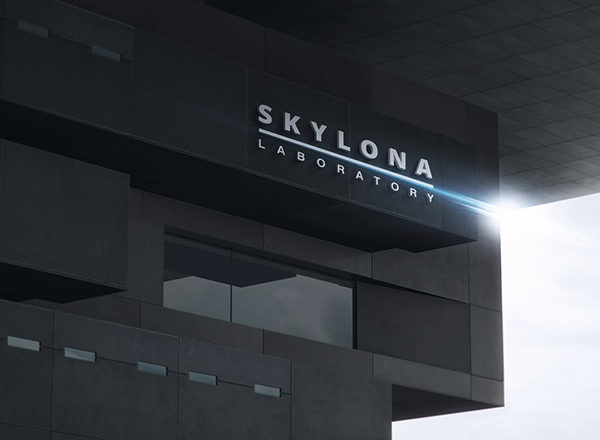 高品质的公司企业3D立体logo标志样机展示模型mockups