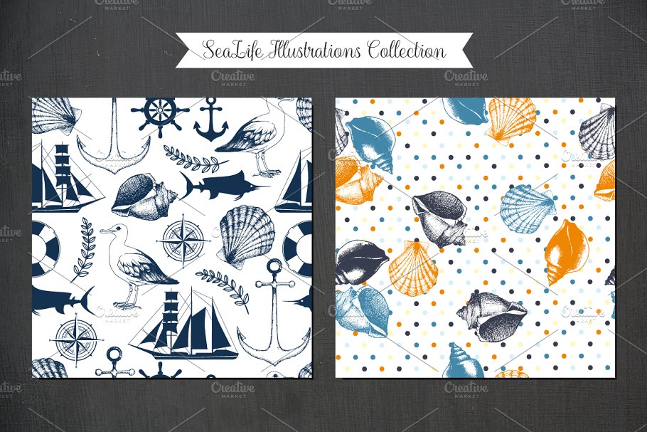 复古墨水手绘海洋生物插图 Vintage Sea Designs & Patterns插图(1)
