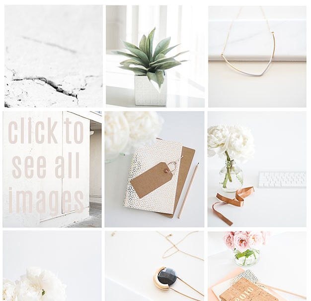 小资文艺范静物特写镜头场景样机 Floral Stock Photo Bundle插图(1)