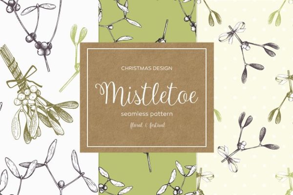 槲寄生手绘花样图案 3 Vector Mistletoe Patterns