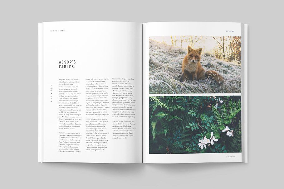 太空大自然主题杂志模板 LUMINA Magazine插图(1)