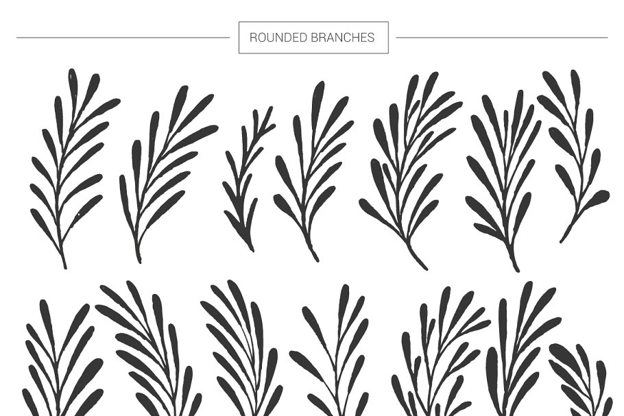 超级手绘花卉&叶子元素大礼包 Floral mega-bundle: 1267 elements插图(9)