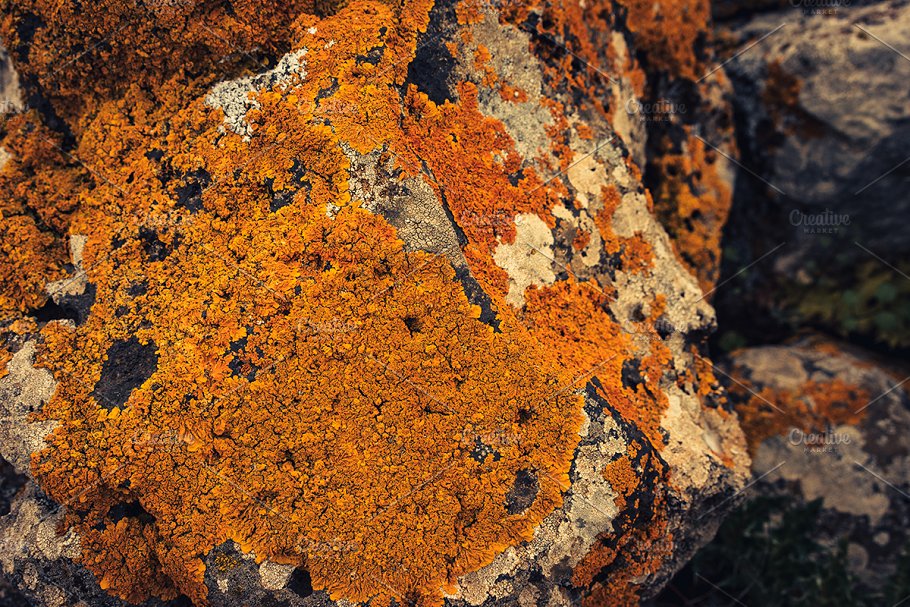 高清自然真实岩石石头照片素材 Rock Solid – Rock & Stone Collection插图(4)