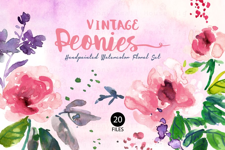 特色复古水彩牡丹剪贴插画素材合集 Vintage Peonies- Watercolor Clip Art插图