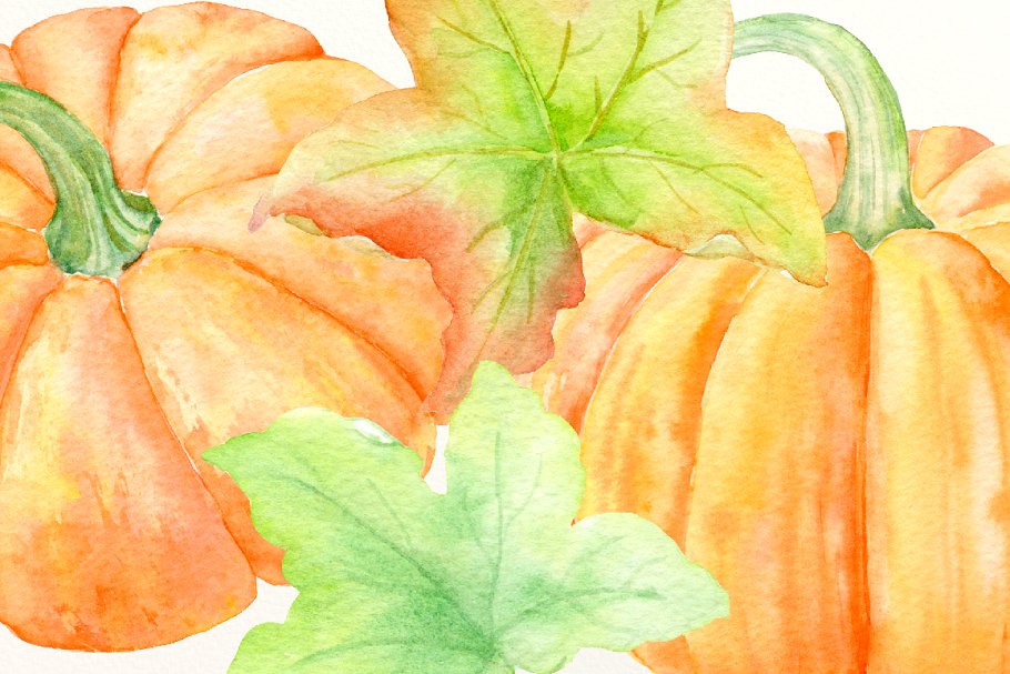 南瓜(藤、叶子&花)水彩剪贴画、纹理 Watercolour Clipart Pumpkins插图(2)