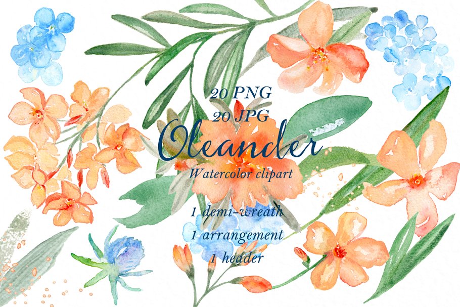 水彩夹竹桃花卉剪贴板 Peach Oleander. watercolor插图(3)