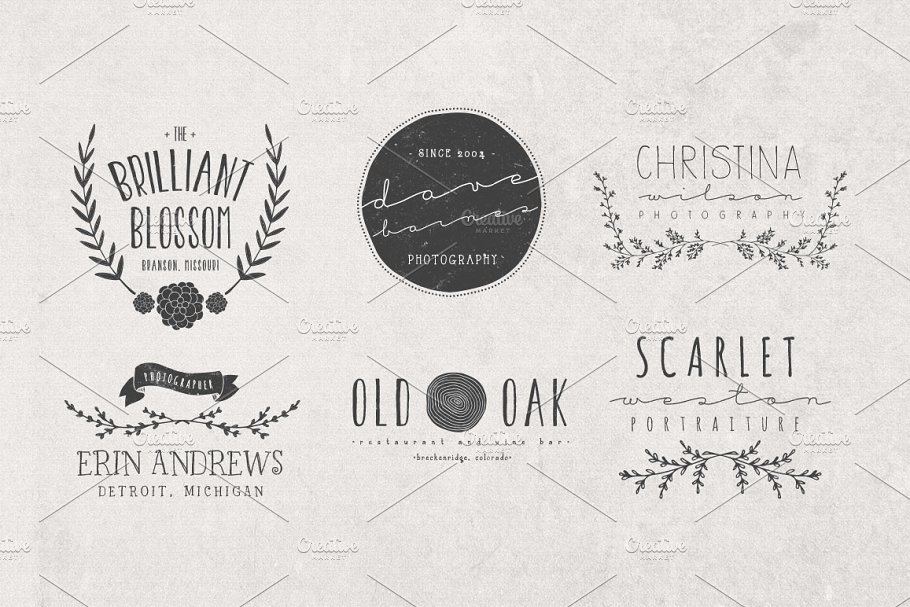 手绘Logo模板+Logo设计元素 Hand Drawn Logos + Elements Vol. 2插图(1)
