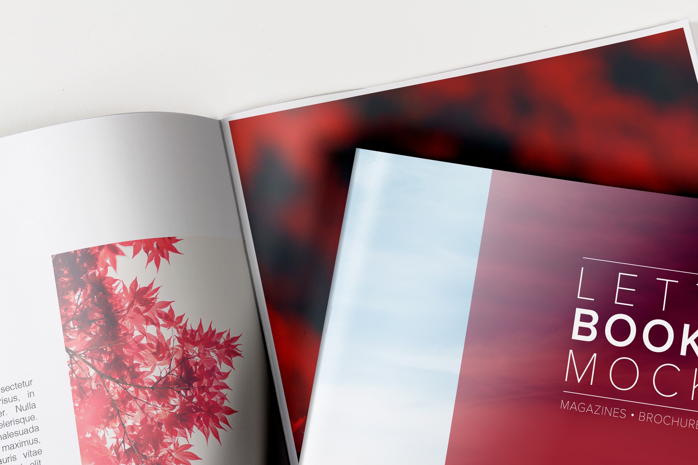 企业画册产品手册封面&内页设计预览样机 Letter Booklet Cover & Spread Mockup插图(3)