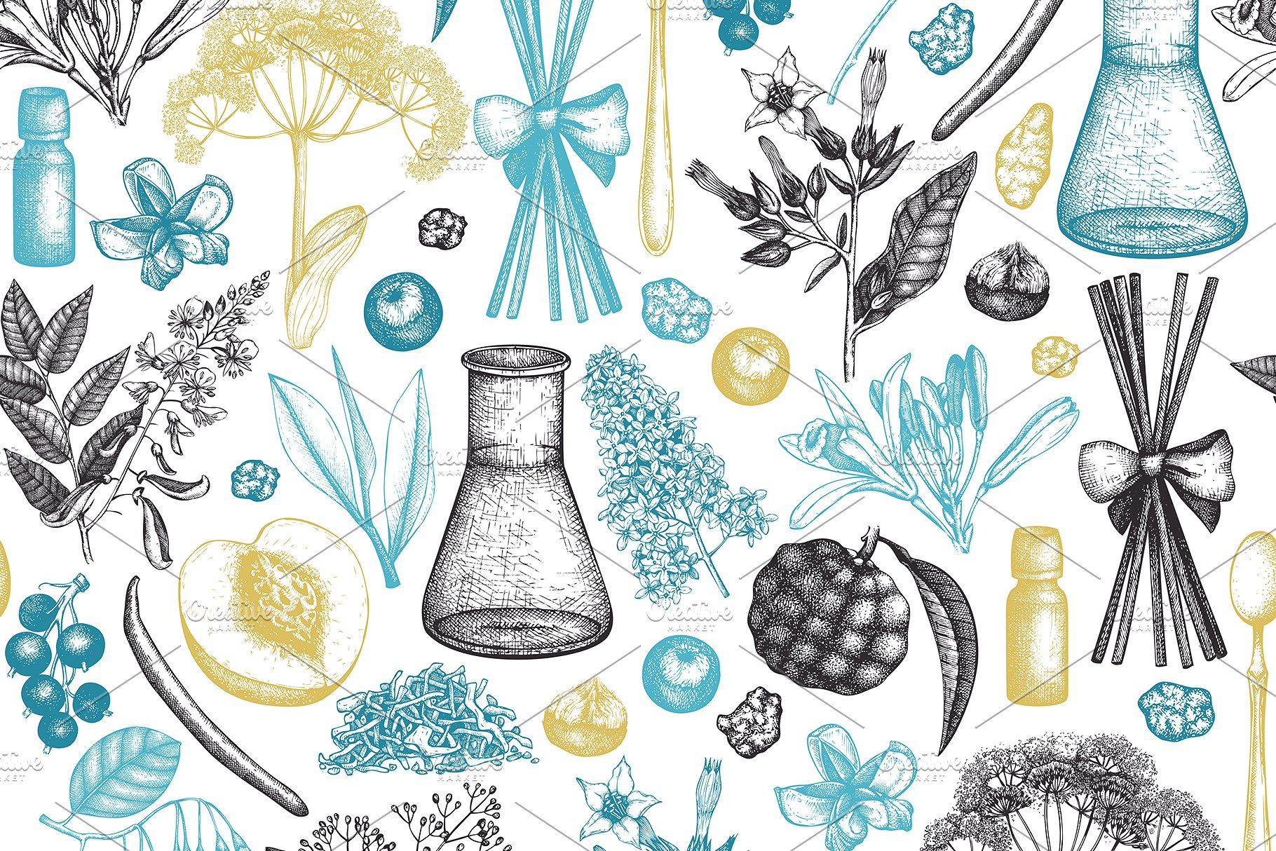 香料和化妆品成分水墨手绘插图集V.2 Perfumery & Cosmetic Ingredients v.2插图(8)