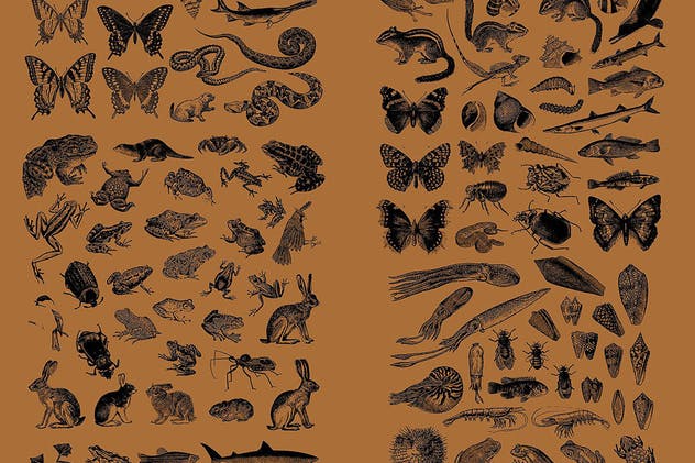 310个复古动物图形矢量插画素材 Vintage Animals Vectors插图(2)