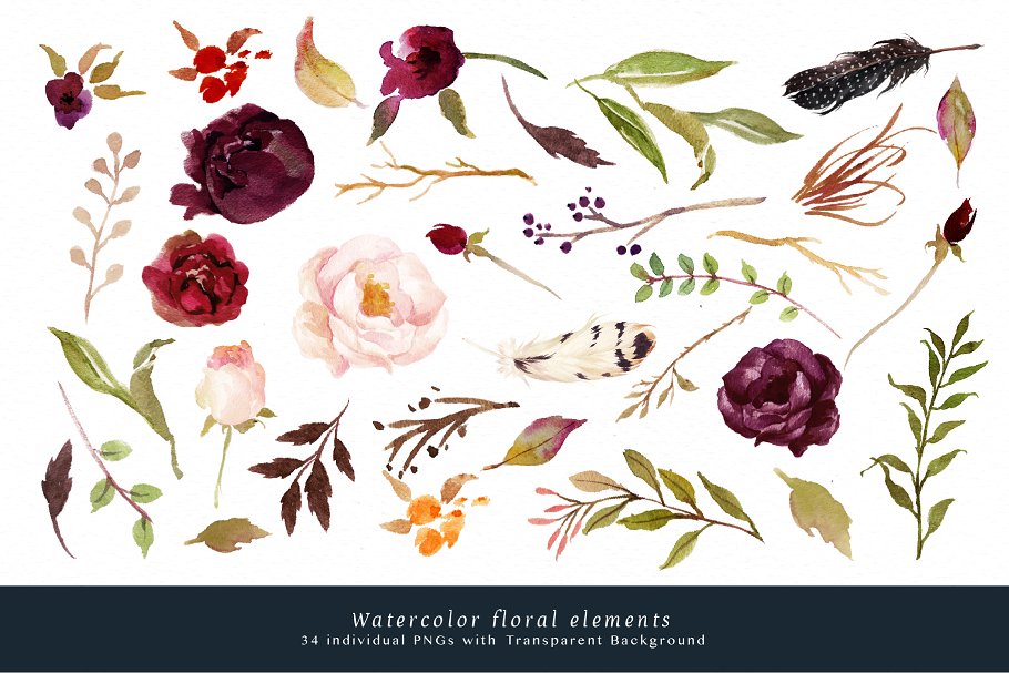 勃艮第水彩花卉艺术剪贴画 Watercolor flower Clip Art-Marsala插图(7)