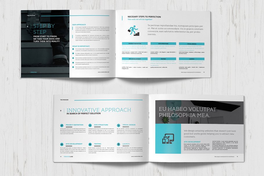 一份专业性的企业提案/创业方案小册子模板插图(4)