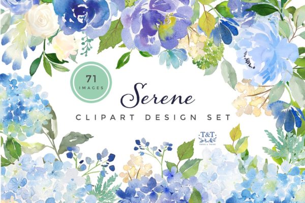 美丽的混合花卉水彩剪贴画合集[1.01GB] Watercolor Flower Graphics – Serene