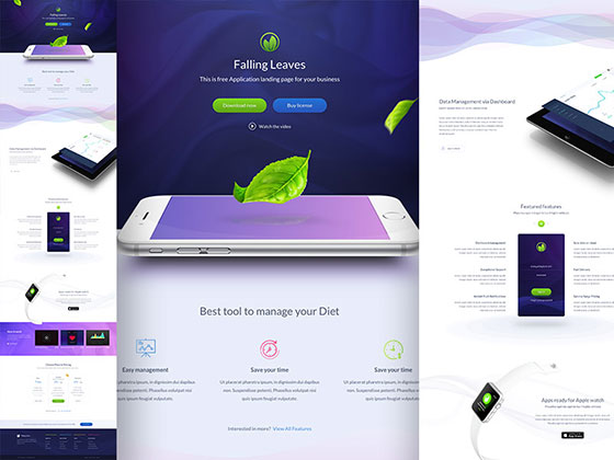 Falling Leaves 着陆页素材之家精选sketch素材