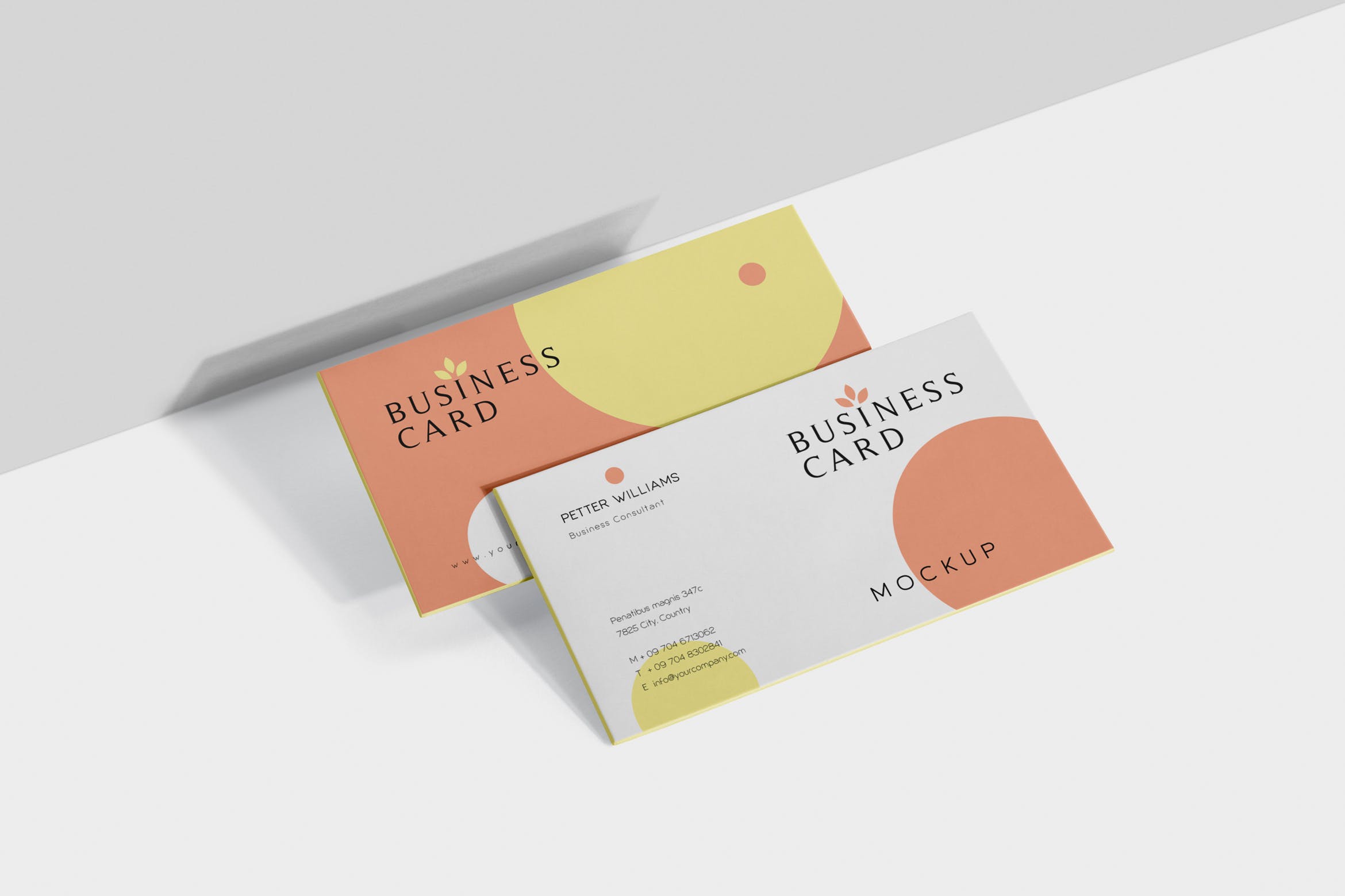 创意企业名片设计阴影效果图素材库精选 Business Card Mock-Ups插图