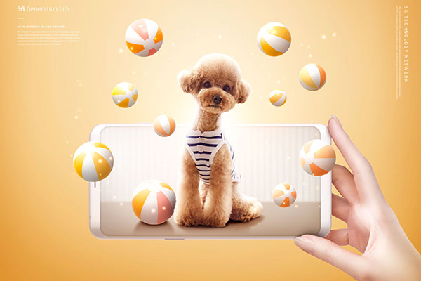 5G智能网络科技生活海报设计