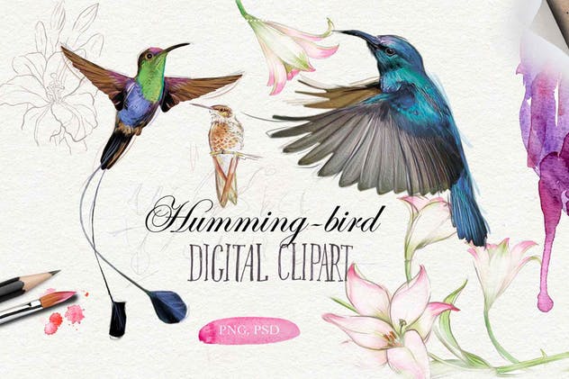 水彩花卉插画元素大合集 Watercolor Bundle over 120 PNG插图(2)